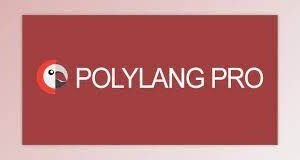 Polylang Pro – Multilingual Plugin